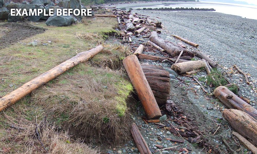 Example of the shoreline before restoration, with logs and debris scattered around.